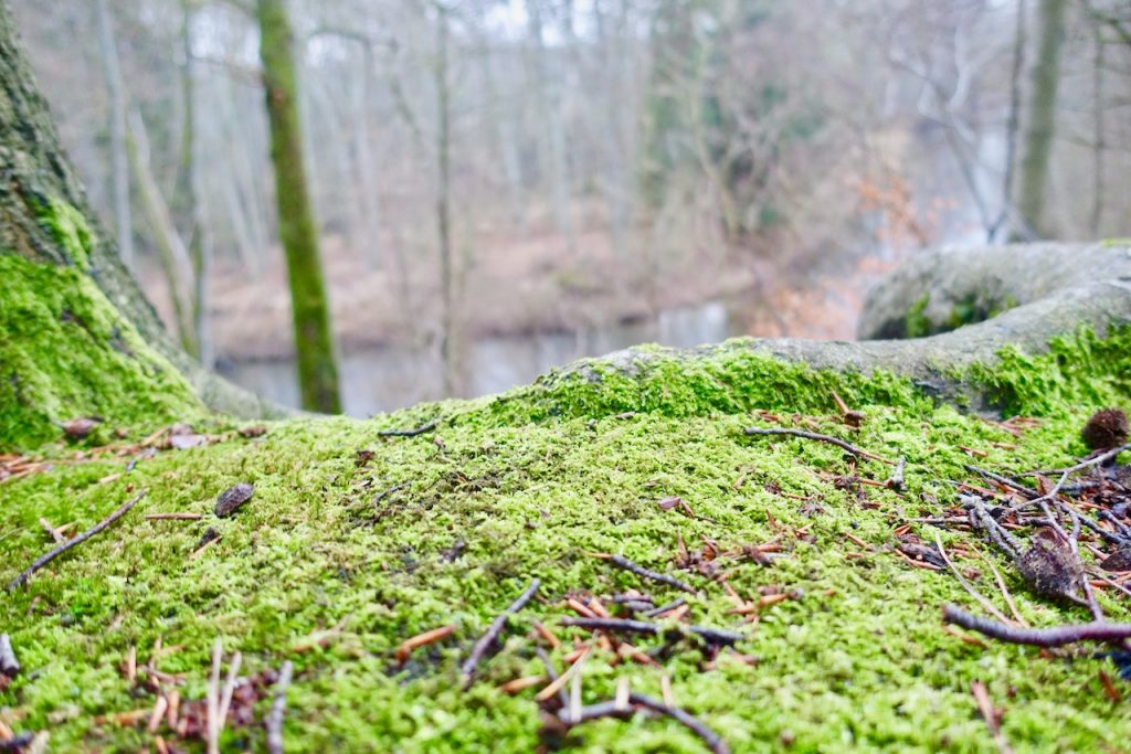 Wandern Bad Bevensen