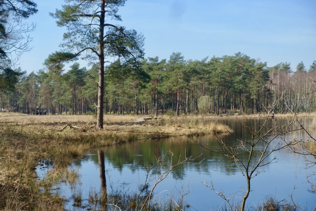 Hoge Veluwe National Park