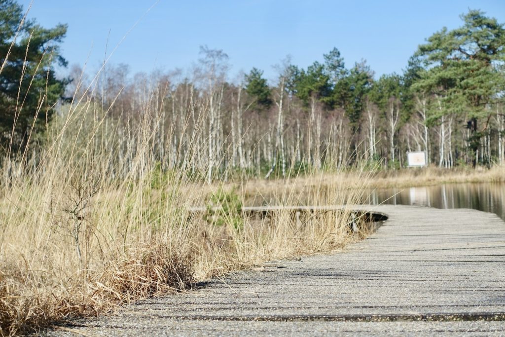 Hoge Veluwe Bilder