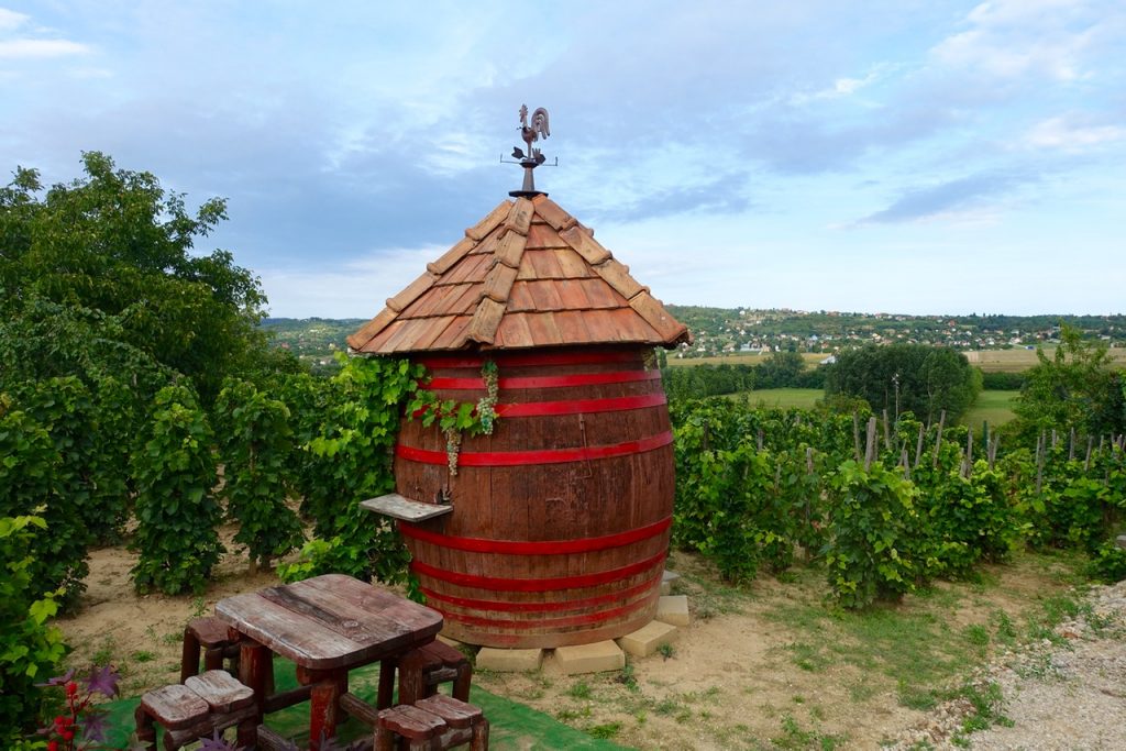 Weinberge am Balaton