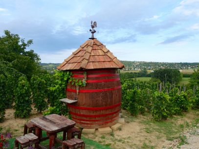 Weinberge am Balaton