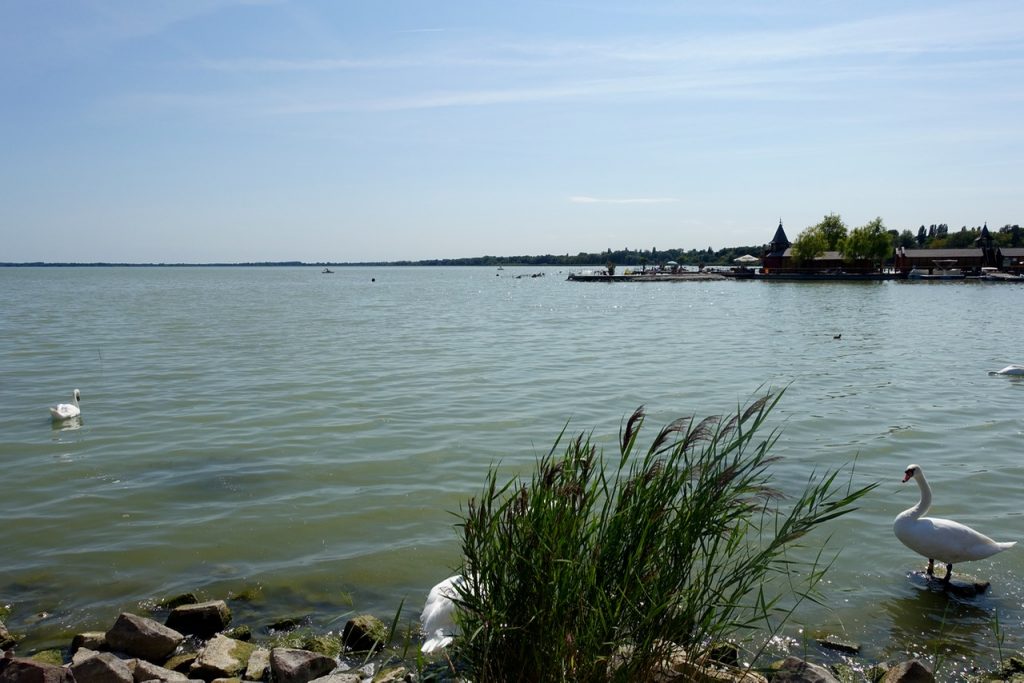 Balaton Urlaub: Am Ufer des Plattensee