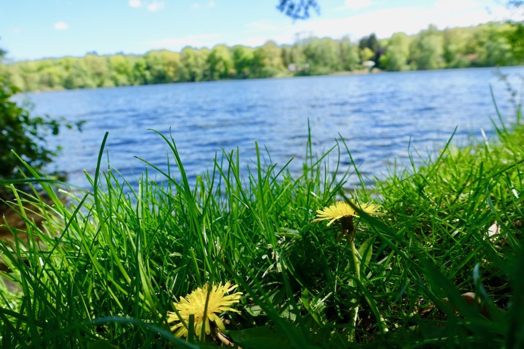 Am Grossensee Stormarn