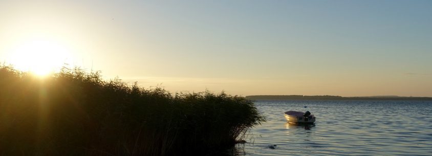 Blick auf den Bodden