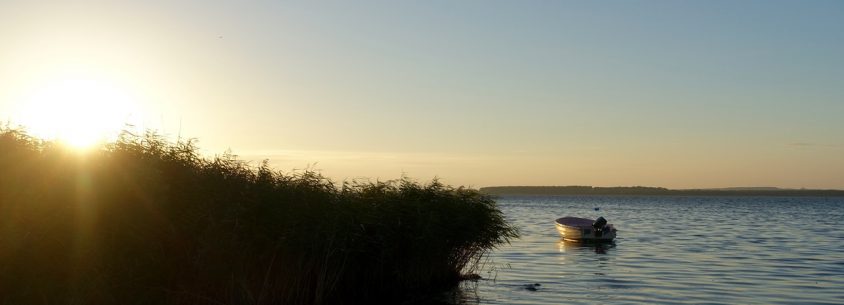 Blick auf den Bodden