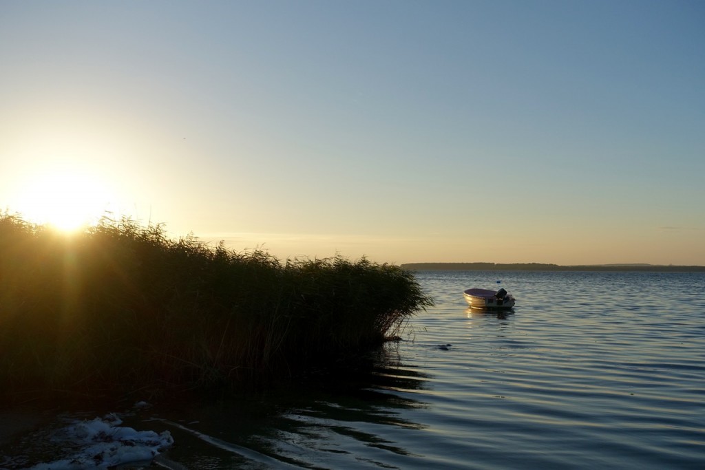 Blick auf den Bodden