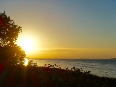 Sonnenuntergang am Bodden - im Lindner Hotel & Spa Rügen