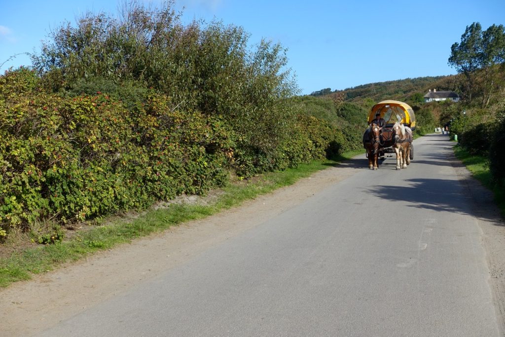 Ausflug nach Hiddensee