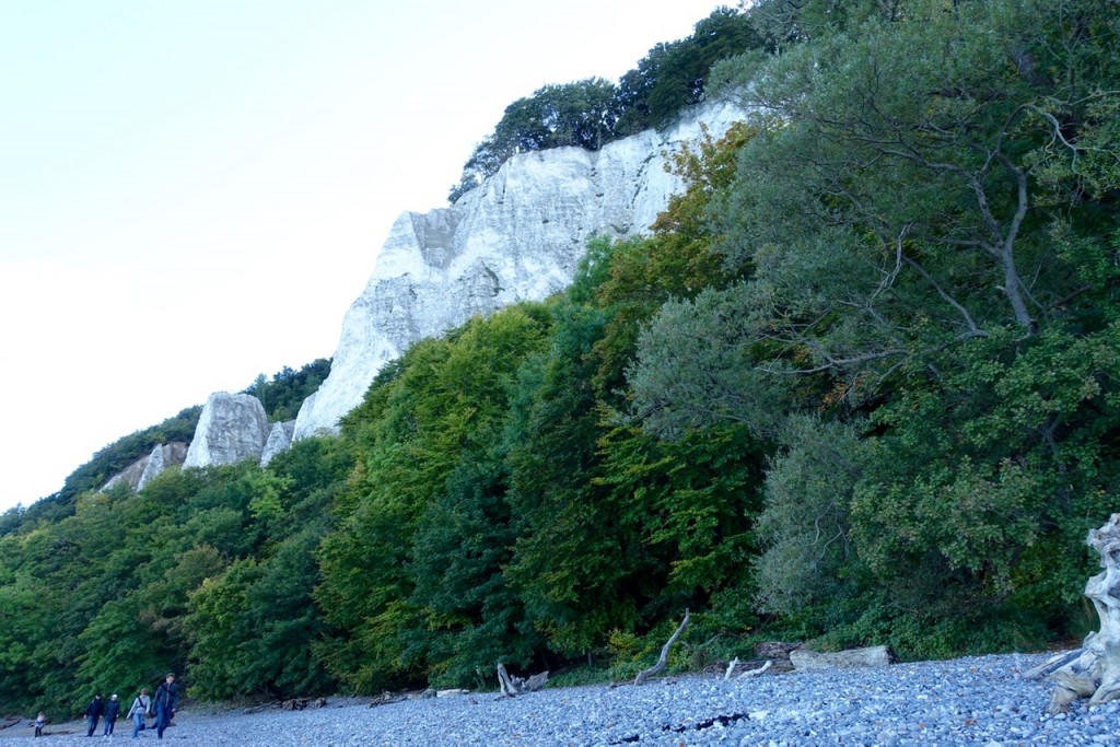 Am Kreidefelsen auf Rügen