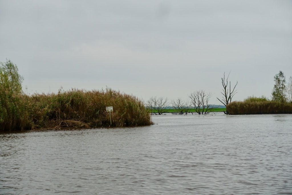 Auf Fluss-Safari