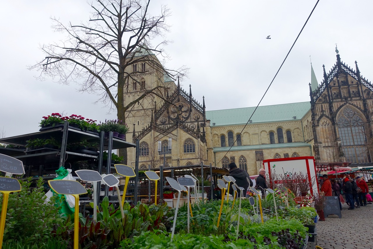 Am Samstag auf den Markt