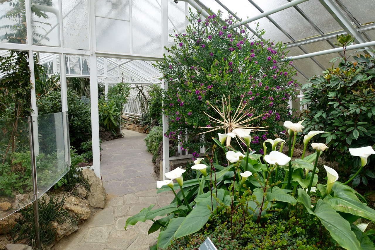 Unterwegs im Botanischen Garten