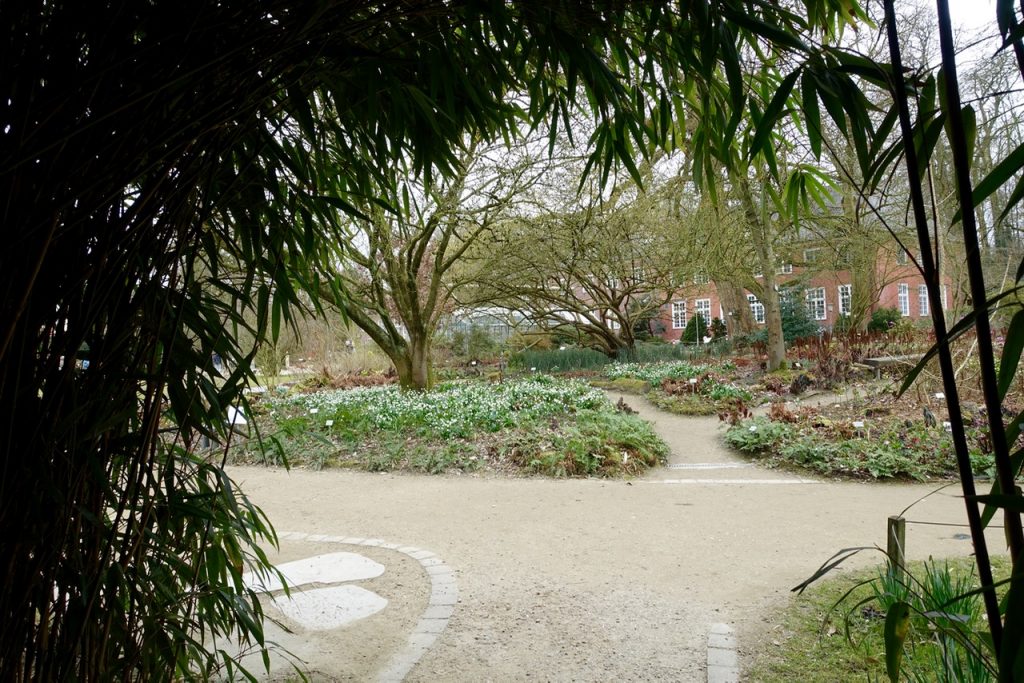 Streifzug durch den Botanischen Garten Münster