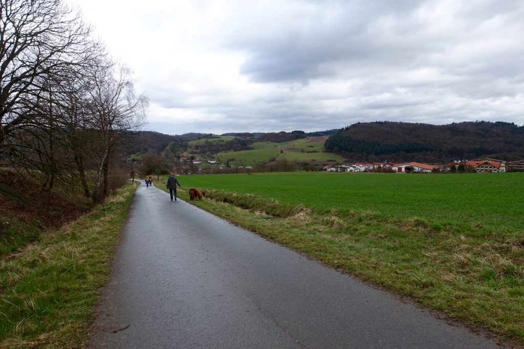 Spaziergang mit Minipferd - Urlaub Waldecker Land