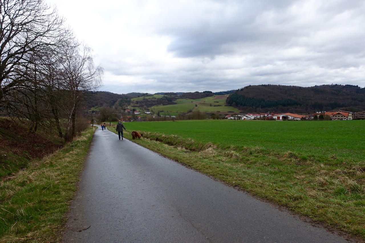 Spaziergang mit Minipferd im Waldecker Land