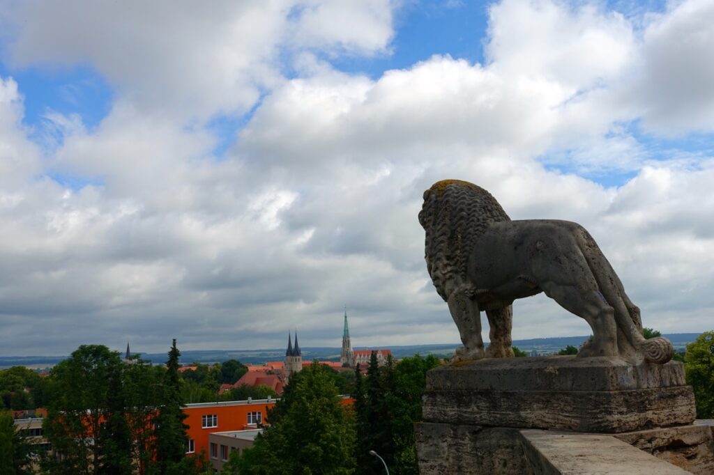 Besuch beim Loewen