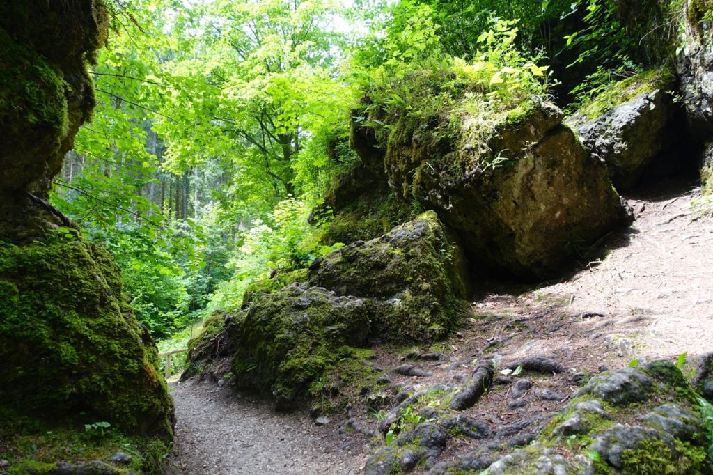 Ausgang der Teufelshöhle Pottenstein