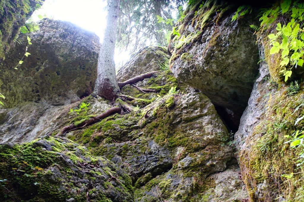 Wandern durch die Fränkische Schweiz