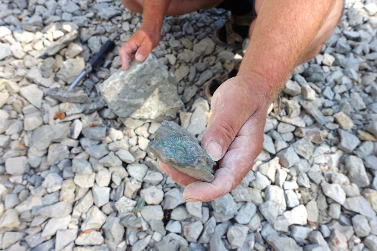 Wellnessfeeling beim Fossilienklopfen