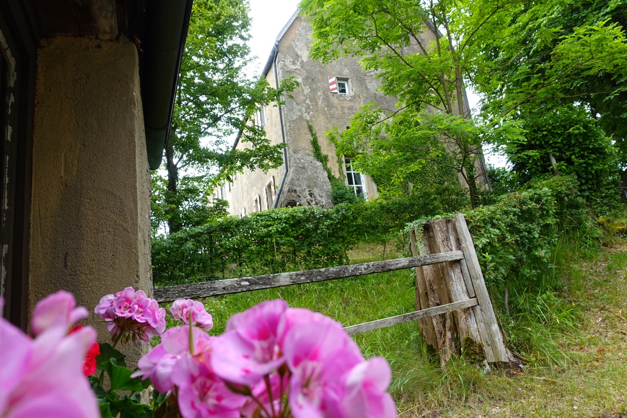 Im Garten von Burg Pottenstein