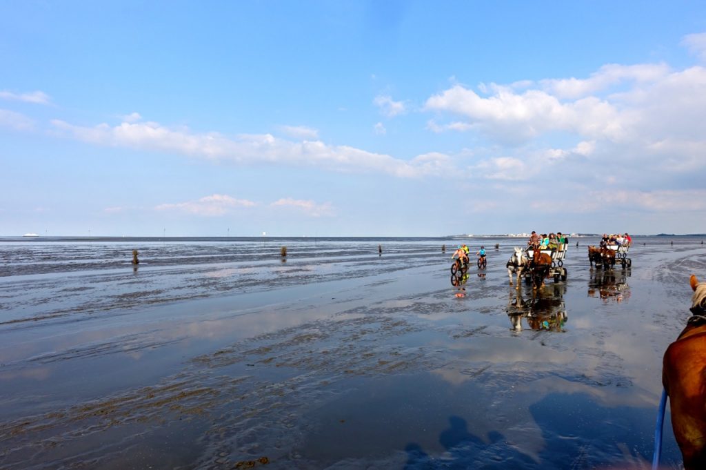 Neuwerk - Cuxhaven Sahlenburg Rückweg per Kutsche