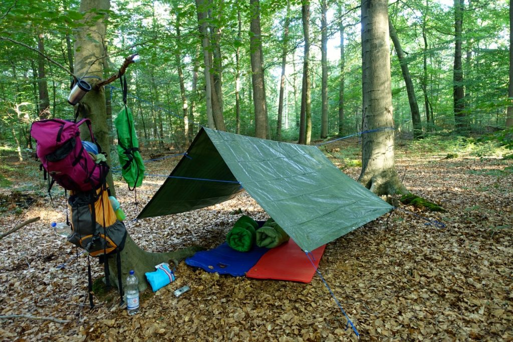 Naturretreat oder Waldbaden