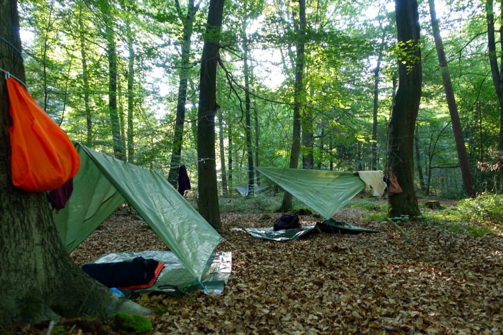 Waldbaden - unter freiem Himmel schlafen mitten in der Natur