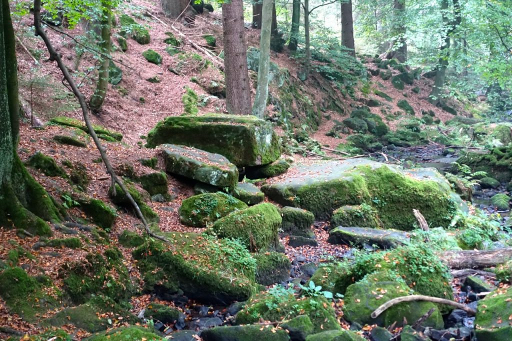 Hermannsweg Etappen durch das Silberbachtal