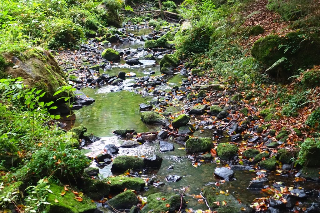 Im Silberbachtal - Hermannshöhen wandern