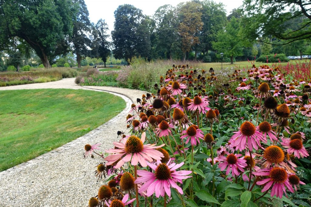 Staudenpark - Gräflicher Park Bad Driburg