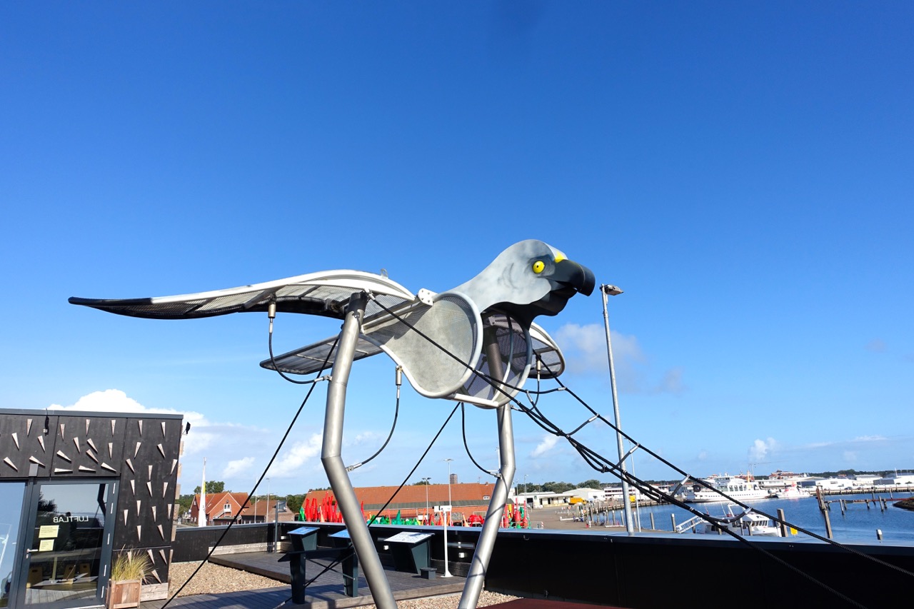 Die große Möwe auf dem Dach der Wattwelten Norderney