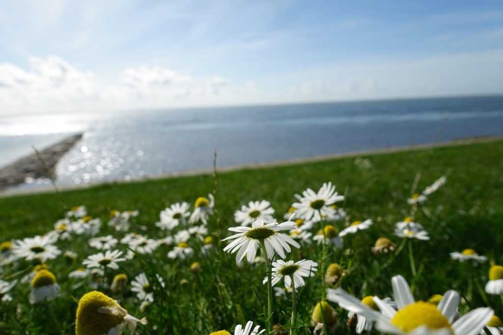 Top Reiseziel 2017 - Nordseeinseln