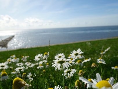 Norderney Fahrradtour über die Insel