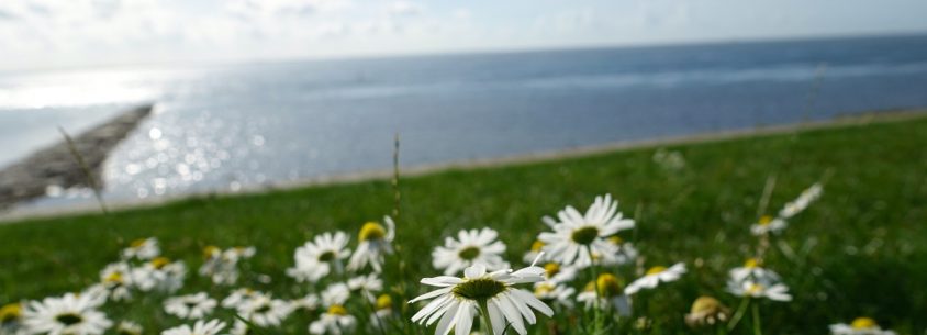 Norderney Fahrradtour über die Insel