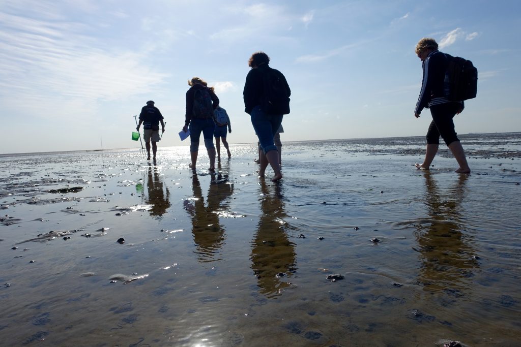 Nordseeinseln - Gemeinsam ziehen wir ins Watt auf Juist