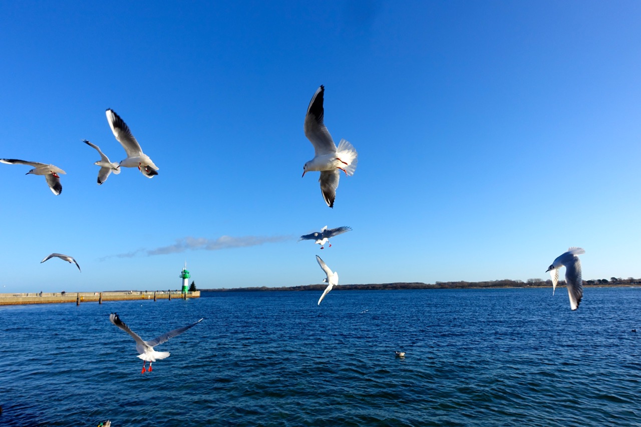 Ostsee Feeling