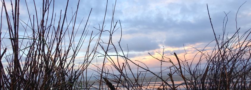 Sonnenaufgang Langeoog