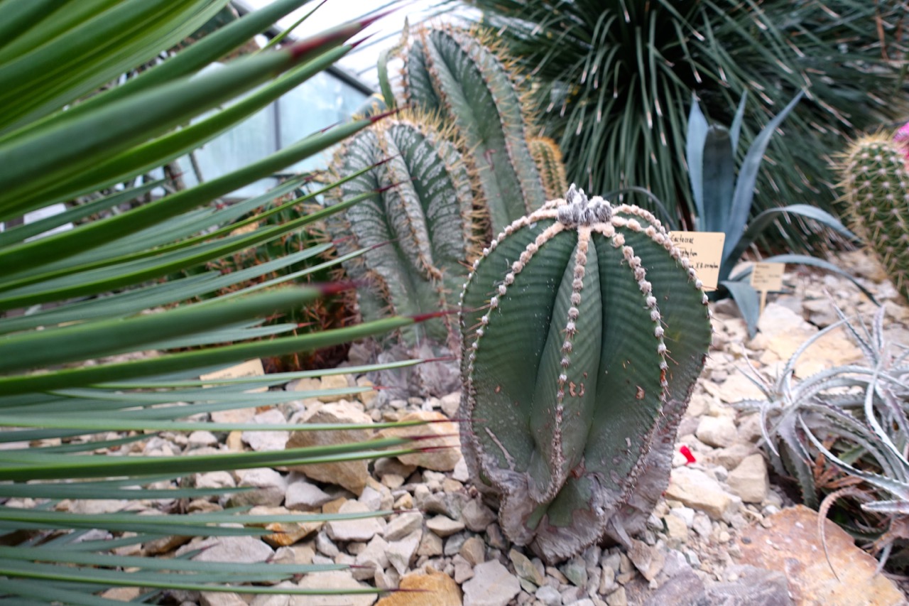 Botanischer Garten Hamburg