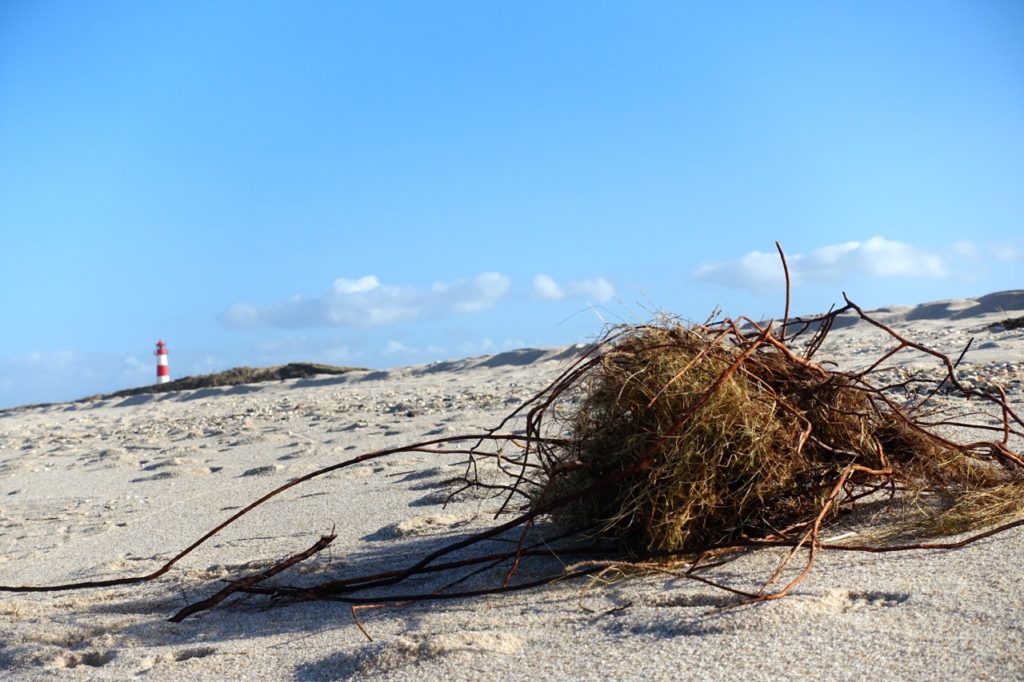 Ruhige Straende Nordsee