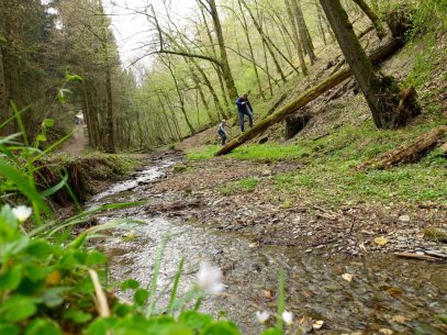 Geierlay Wanderweg / Geierlay Bruecke