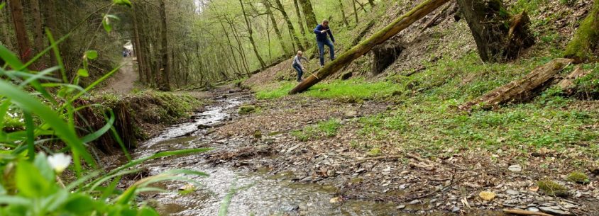 Geierlay Wanderweg / Geierlay Bruecke