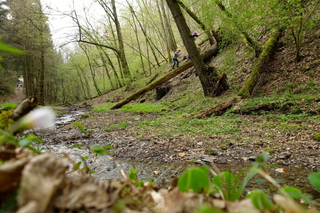 Geierlay Wanderweg - wir folgen dem Bachlauf bis zu einer kleinen Bruecke