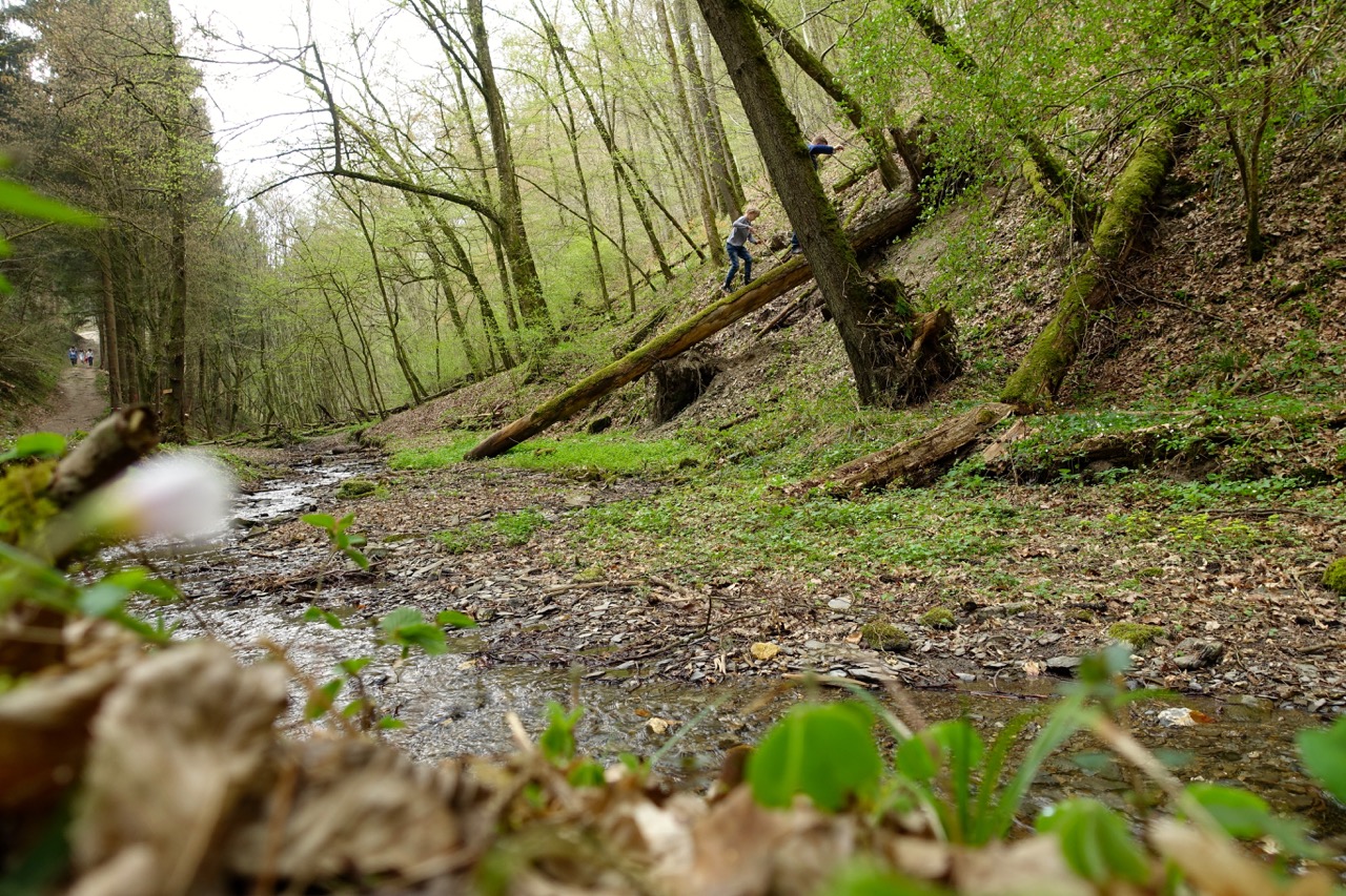 Geierlay Wanderweg – wir folgen dem Bachlauf bis zu einer kleinen Bruecke