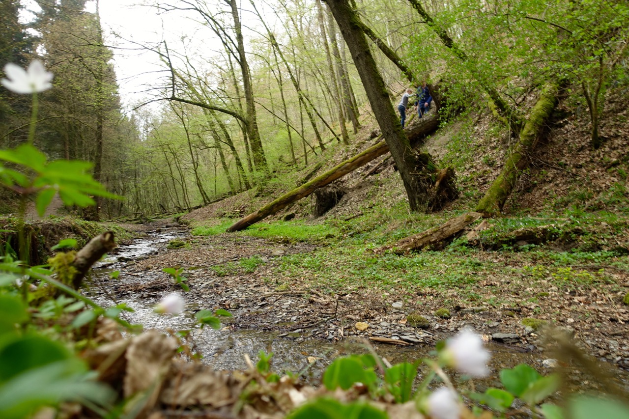 Wandern entlang der Schieferhölenrunde