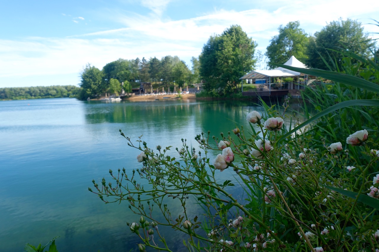 Blick auf den See