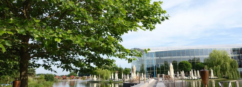 Therme Erding - Vitaloase