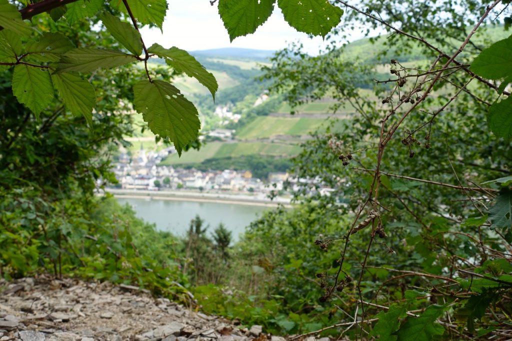 Rheinburgenweg - Aussichten auf den Rhein