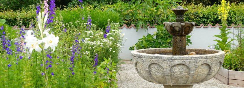 Im Kraeutergarten auf dem Rochusberg