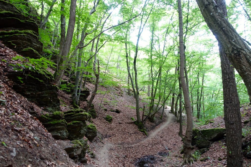 Traumschleife Ehrbachklamm - im Tal