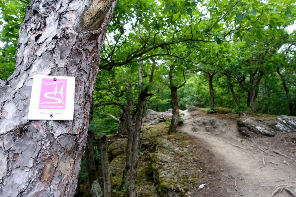 Traumschleife Ehrbachklamm